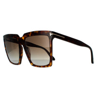 Tom Ford Sunglasses Sabrina 02 FT0764 52H Dark Havana Brown