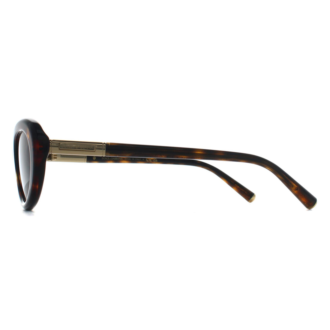 Dolce & Gabbana Sunglasses DG4519 502/73 Havana Dark Brown
