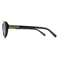 Dolce & Gabbana Sunglasses DG4519 502/73 Havana Dark Brown