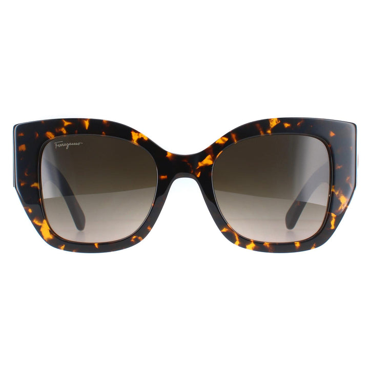 Salvatore Ferragamo Sunglasses SF1045S 281 Vintage Tortoise Brown Gradient