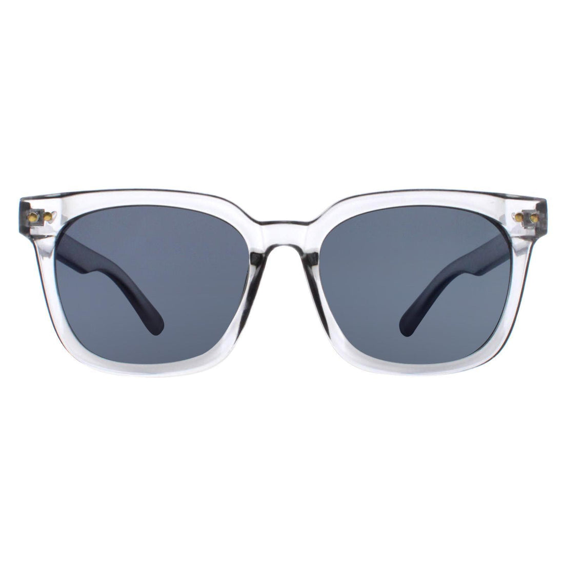Atum Sunglasses Meraki C2 Shiny Transparent Grey Smoke Grey