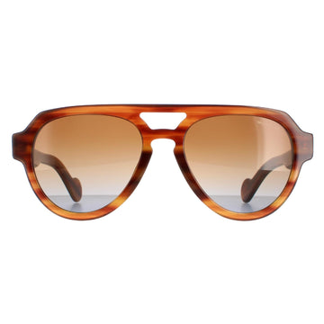 Moncler Sunglasses ML0094 54E Havana Brown Brown