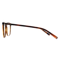 Ted Baker Glasses Frames TB9237 Karina 123 Honey Tortoise Women