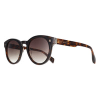 Ted Baker Sunglasses TB1752 Dax 119 Classic Tortoise Brown Gradient
