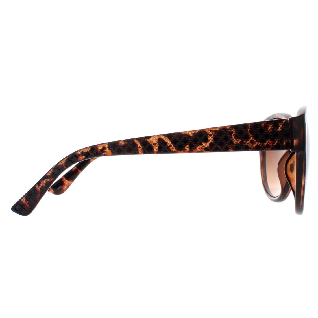 Smarty Sunglasses X2120 B Demi Tortoise Brown Brown