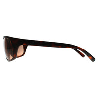 Serengeti Sunglasses Bormio 2.0 SS563003 Matte Tortoise Saturn Drivers Brown Photochromic
