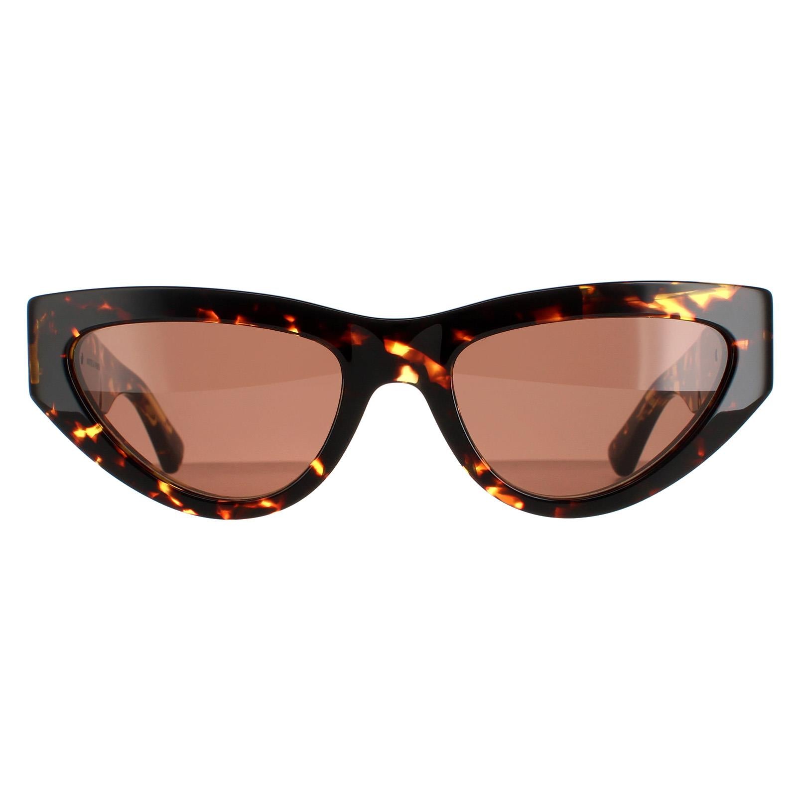 Sunglasses BV1176S 002 Havana