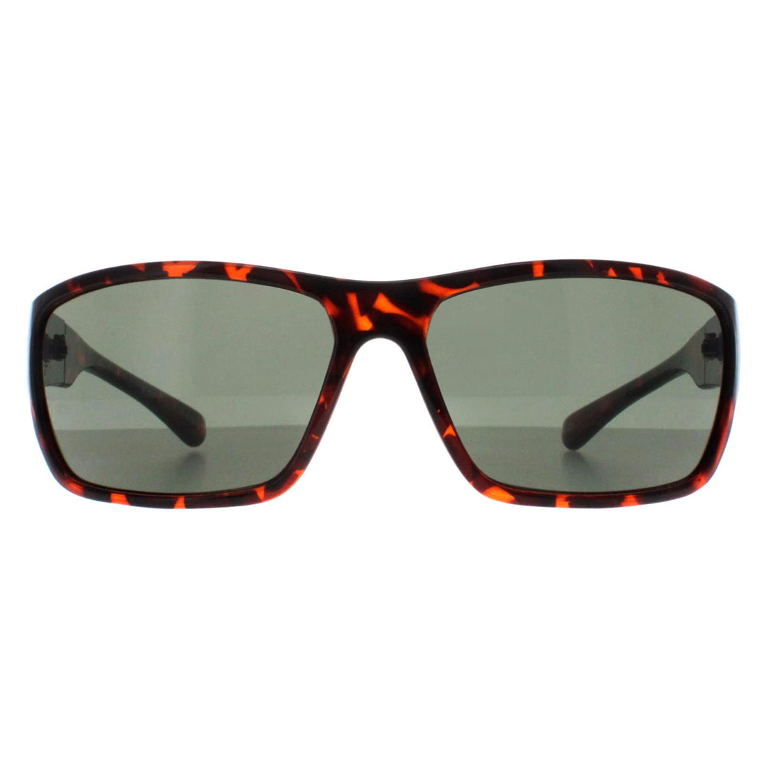 Smarty Sunglasses X2135 B Demi Brown Tortoise Green