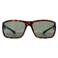 Smarty Sunglasses X2135 B Demi Brown Tortoise Green