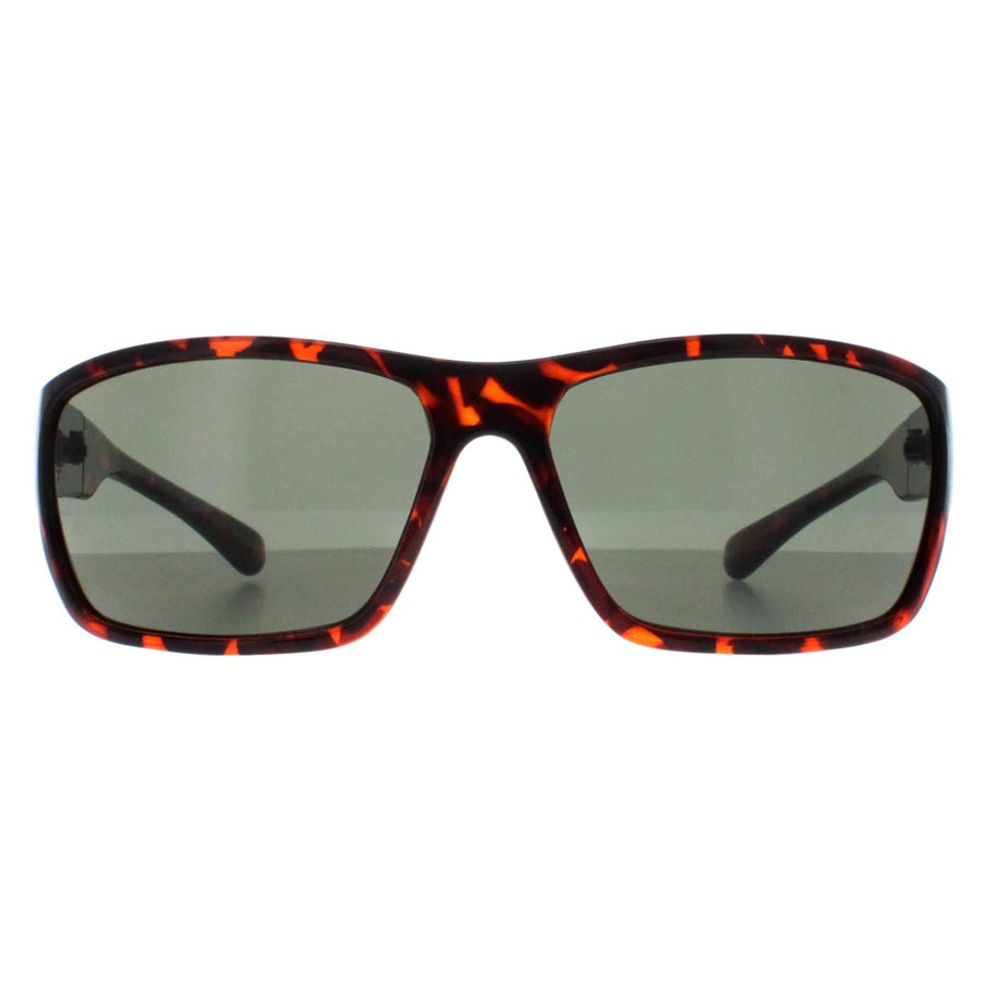 Smarty Sunglasses X2135 B Demi Brown Tortoise Green