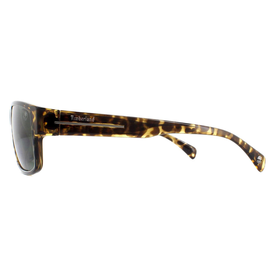 Timberland TB9064 Sunglasses