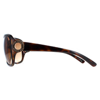 Ted Baker Sunglasses TB1207 Halle 100 Havana Brown