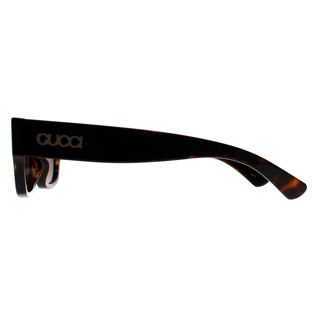 Gucci Sunglasses GG1794S 002 Havana Brown