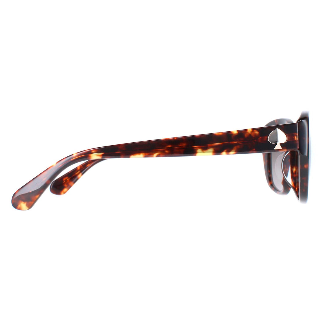 Kate Spade Sunglasses Kenzie/G/S 086 HA Havana Brown Gradient