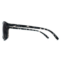 O'Neill Sunglasses Praia 195P Black Tortoise Grey Gradient Polarized