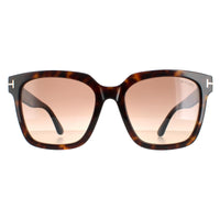 Tom Ford Sunglasses Selby FT0952 52F Shiny Dark Havana Brown Gradient