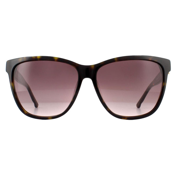 Swarovski SK0121 Sunglasses Dark Havana / Brown Gradient