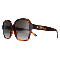 Jimmy Choo Sunglasses Rella/G/S 086/HA Dark Havana Brown Gradient