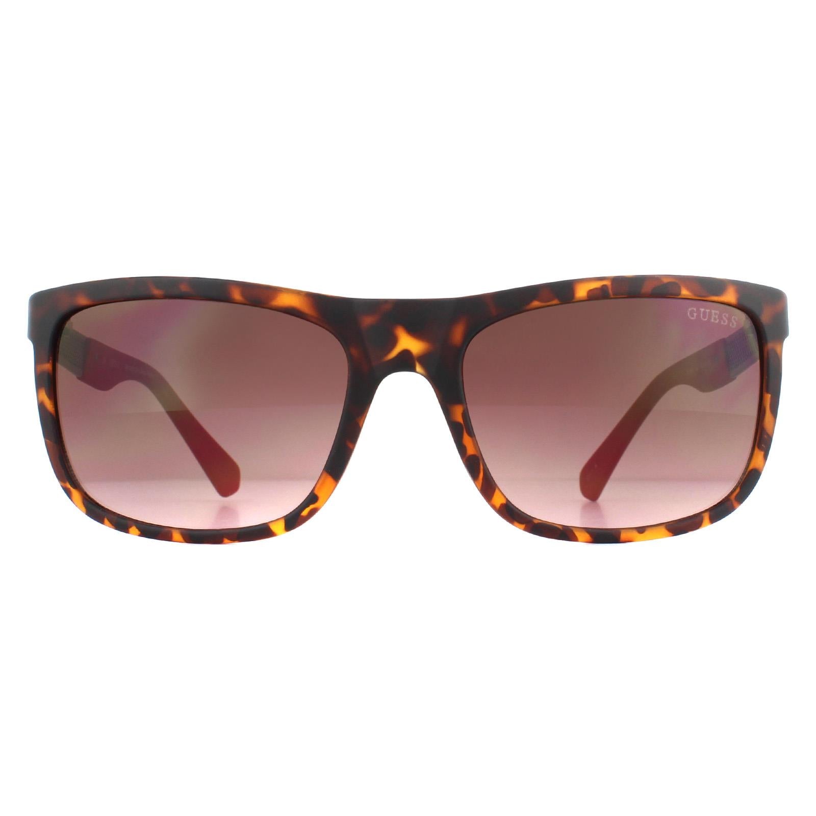 Sunglasses GU6843 Dark Havana Gradient