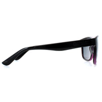 Superdry Sunglasses Thirdstreet 172 Glossy Black Pink Grey