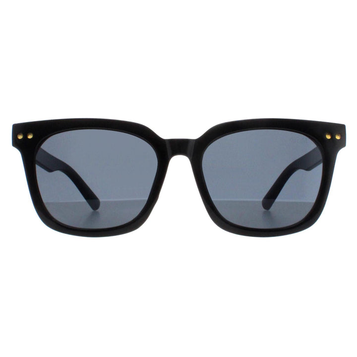 Atum Sunglasses Meraki C1 Shiny Black Smoke Grey