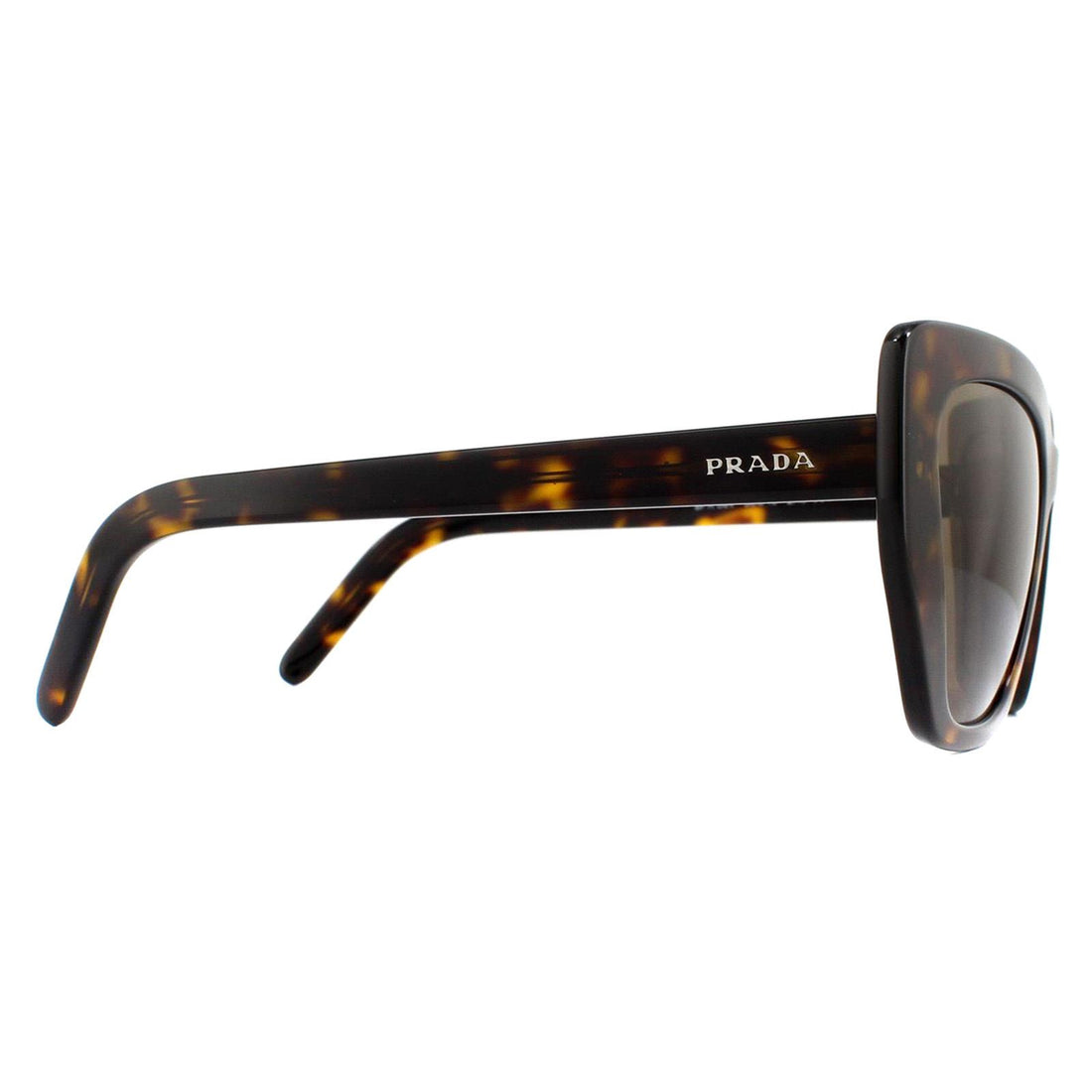Prada Sunglasses PR08VS 2AU8C1 Havana Brown