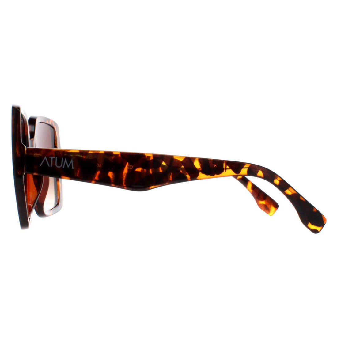 Atum Sunglasses Zouk C2 Shiny Havana Brown Gradient
