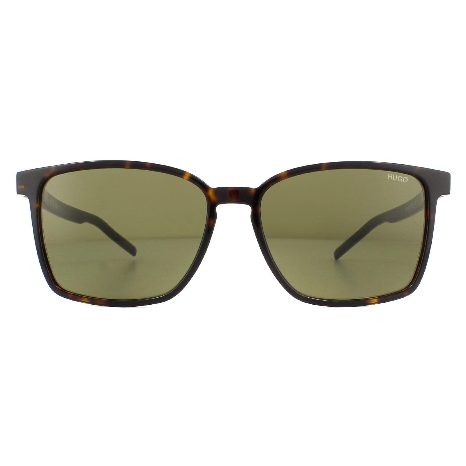 Sunglasses HG1128 S 086 QT Havana