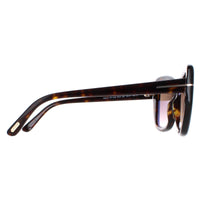 Tom Ford Sunglasses Maeve FT1008 52F Dark Havana Brown Gradient