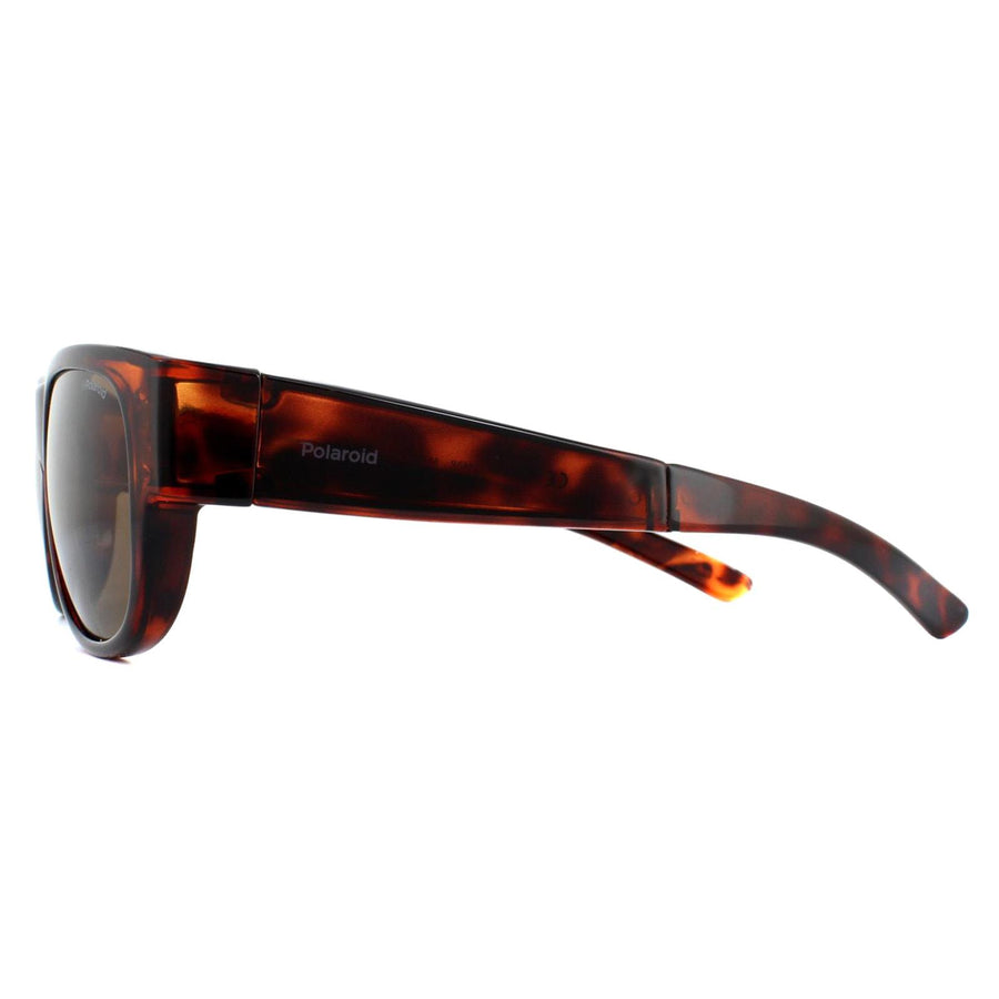 Polaroid Suncovers Fit Over Glasses Sunglasses PLD 9008/S 086 SP Dark Havana Bronze Polarized