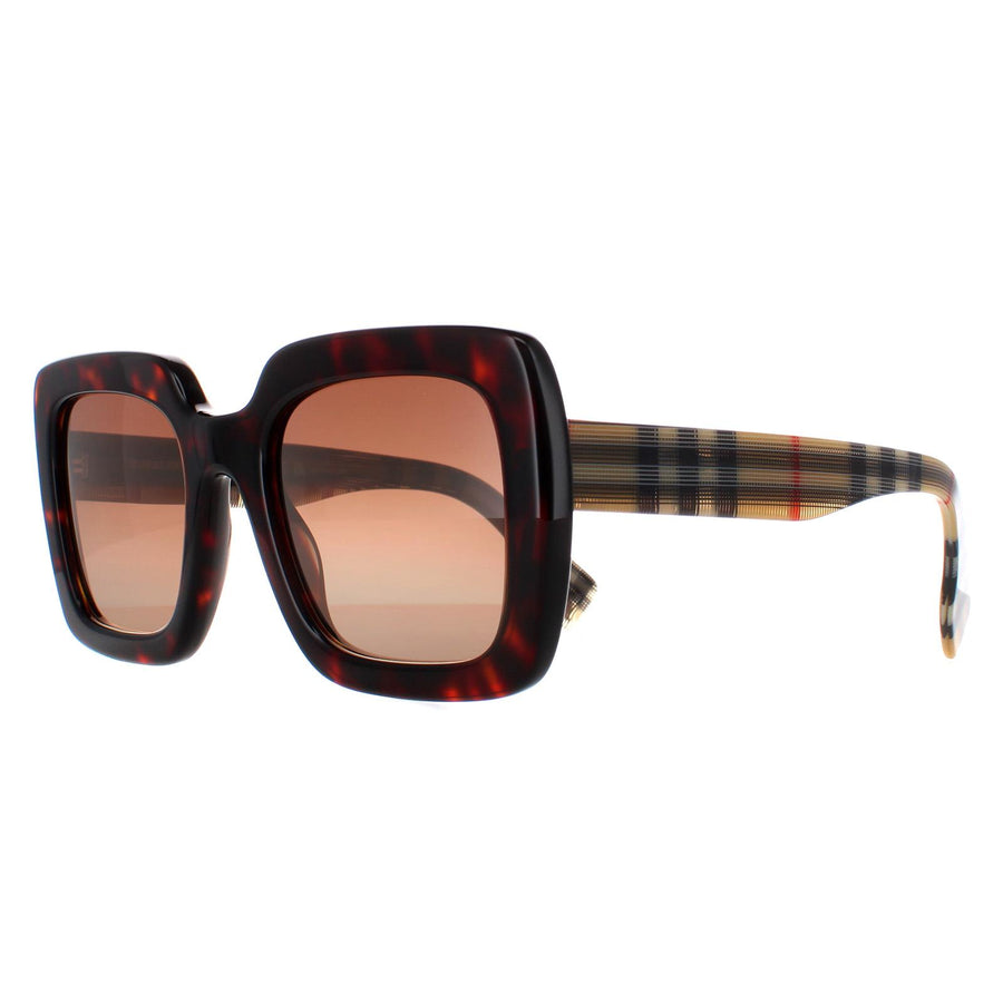 Burberry Sunglasses BE4284 390313 Dark Havana Brown Gradient