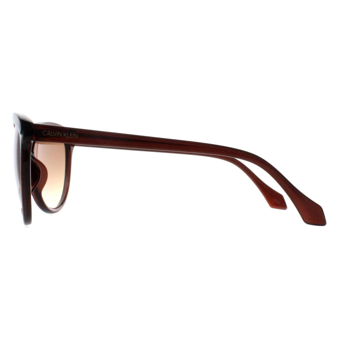 Calvin Klein Sunglasses CK19534S 210 Crystal Brown Brown Gradient
