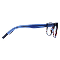 Tommy Hilfiger Glasses Frames TH1191 K5Y Blue Tortoise Women