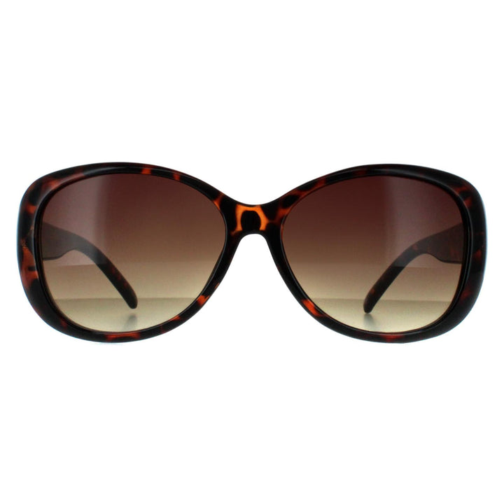 Smarty Sunglasses X2808 J Chocolate Tortoise Brown Brown
