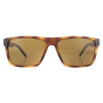 Arnette Sunglasses Goemon AN4267 237583 Matte Havana Dark Brown Polarized