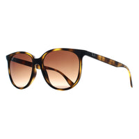 Ray-Ban Sunglasses RB4378 710/13 Havana Brown Gradient