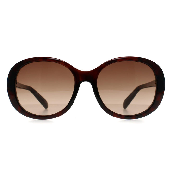 Seksy Sunglasses N2800 B Transparent Red Havana Brown Gradient