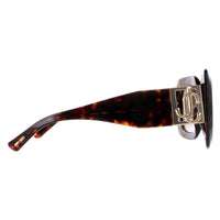 Jimmy Choo Sunglasses GAYA/S 086 HA Havana and Gold Brown Gradient