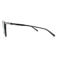 Salvatore Ferragamo Sunglasses SF910S 001 Black Brown