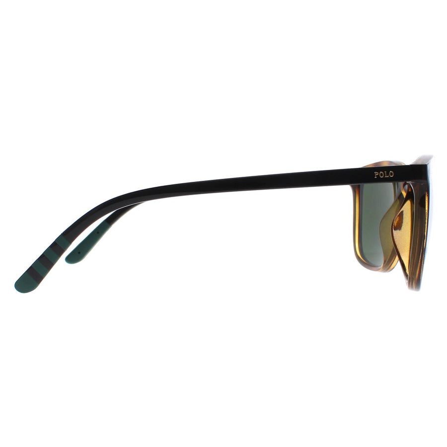 Polo Ralph Lauren Sunglasses PH4185U 500371 Shiny Havana Dark Green