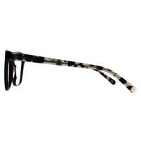 Prive Revaux Glasses Frames The Holly 807 Black Havana Grey Women