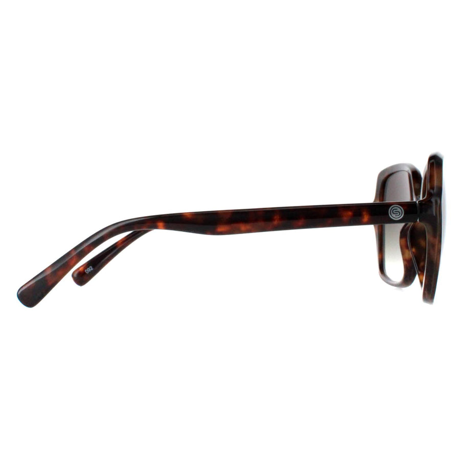 Smarty Sunglasses X2110 D Tortoise Brown Grey