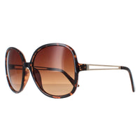 Smarty Sunglasses X2117 B Demi Gold Brown