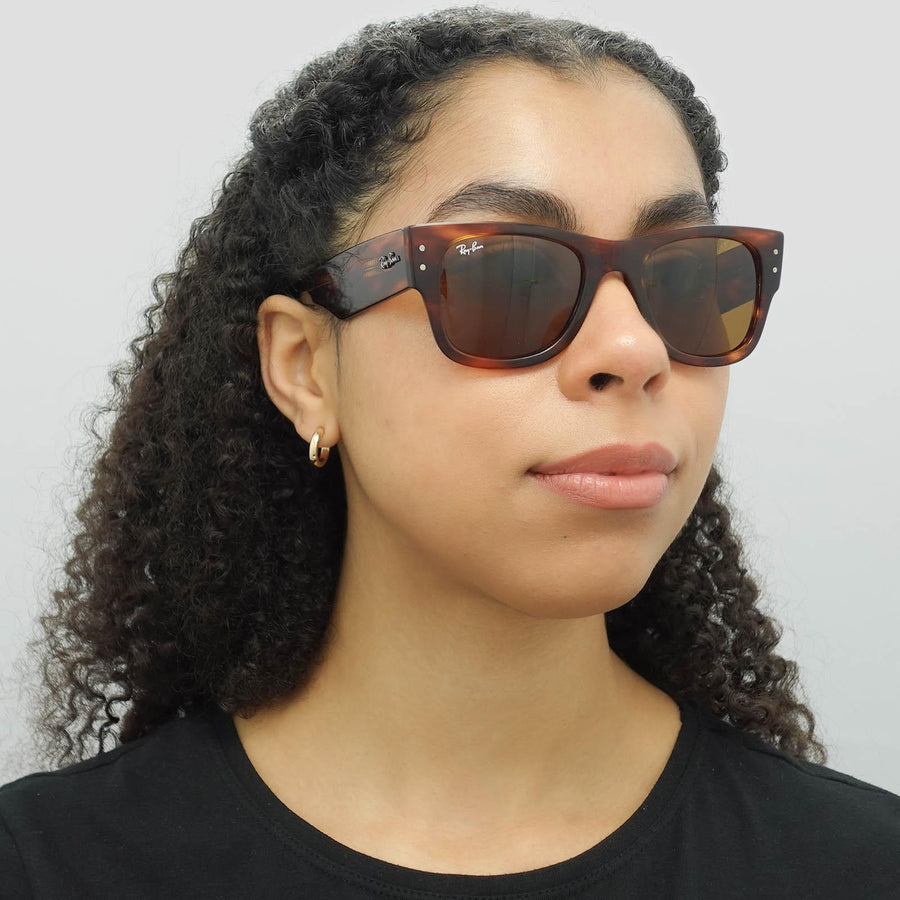 Ray-Ban Sunglasses RB0840S Mega Wayfarer 954/33 Polished  display picture 2