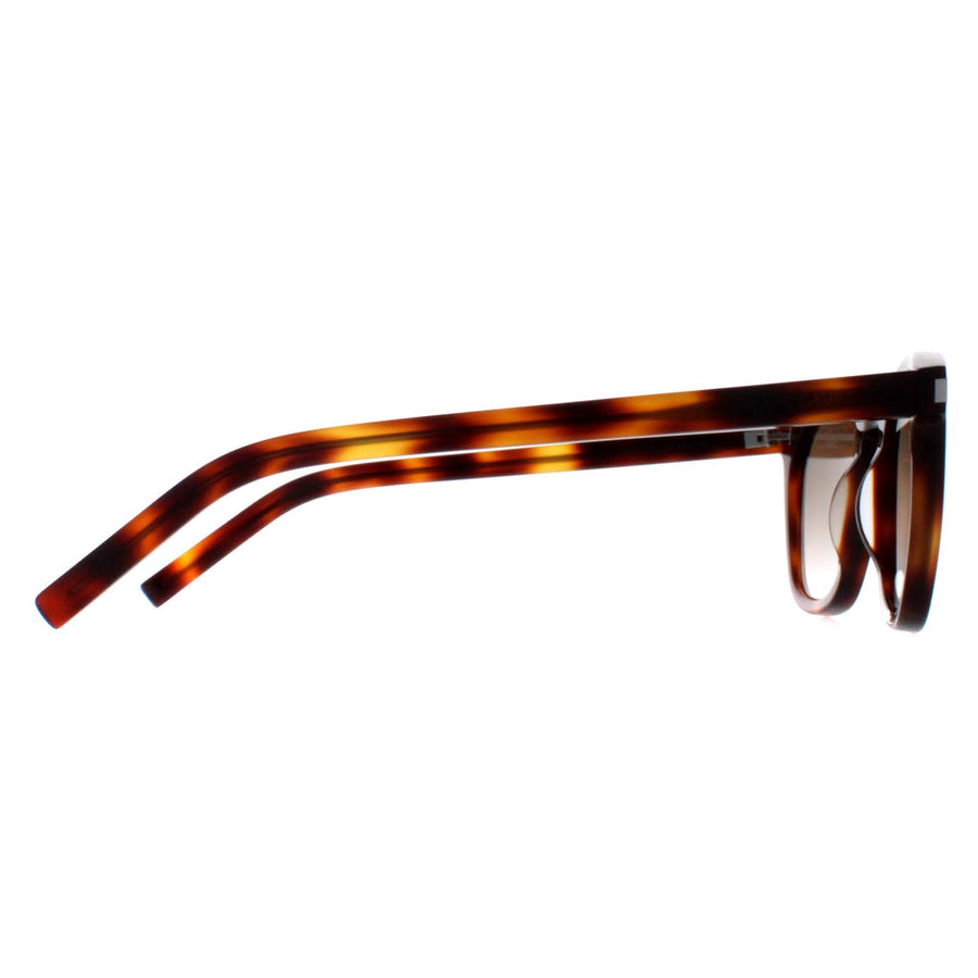 Saint Laurent Sunglasses SL28 048 Havana Brown Gradient