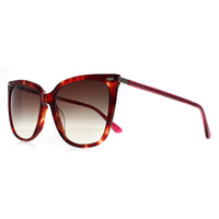 Calvin Klein Sunglasses CK22532S 609 Burgundy Havana Brown Gradient