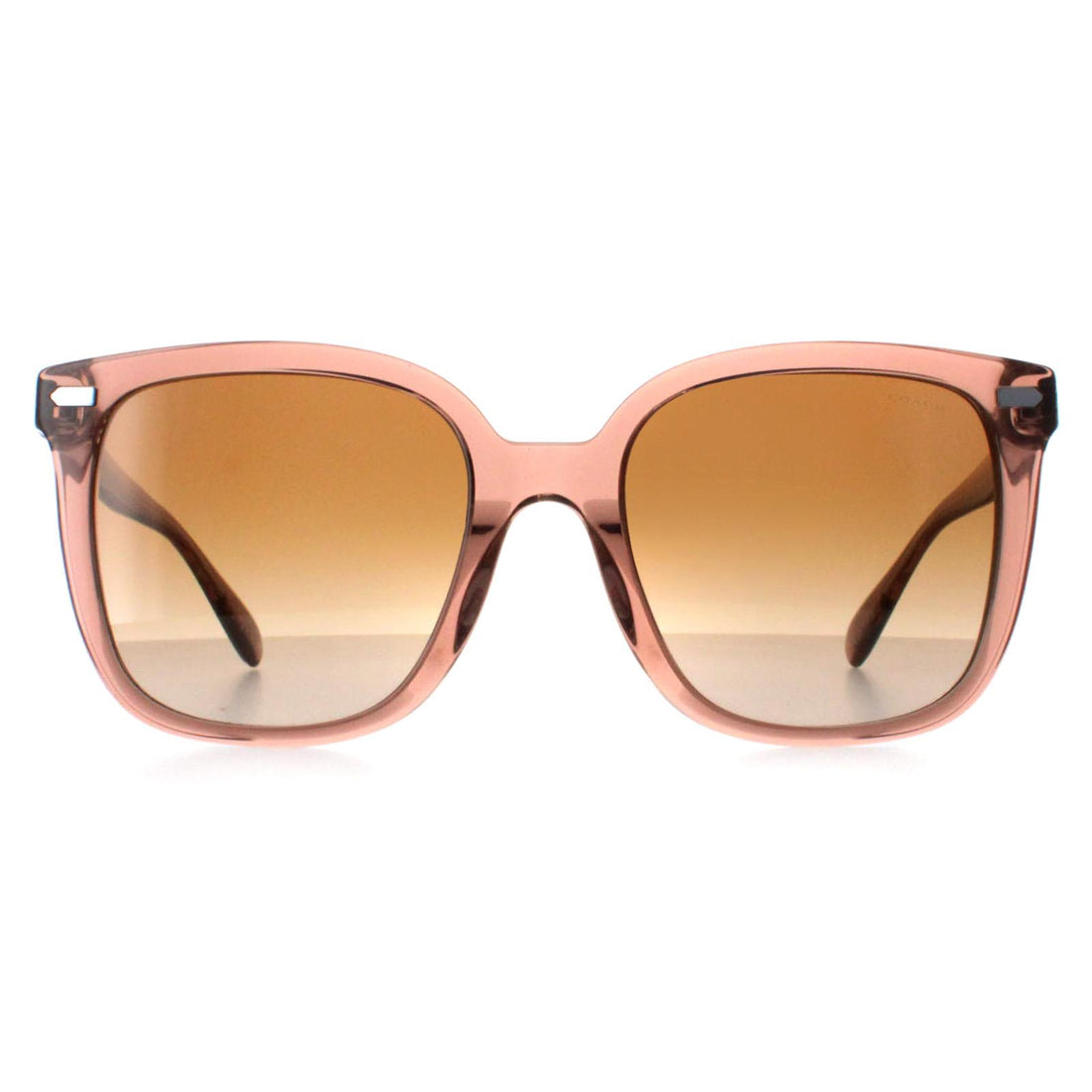 Coach Sunglasses HC8381U 577913 Brown Brown Gradient