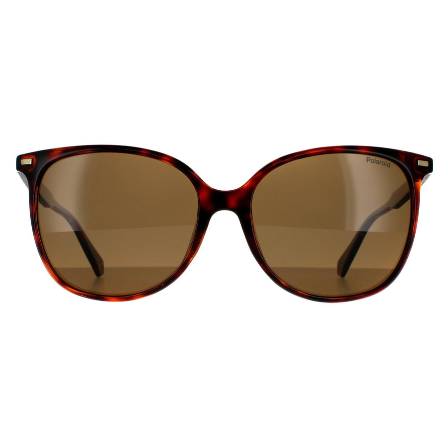 Polaroid PLD 4125/G/S Sunglasses Dark Havana / Bronze Polarized