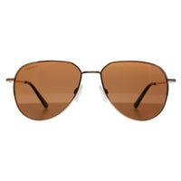 Serengeti Sunglasses Haywood Small SS544002 Shiny Rose Gold Drivers Polarized