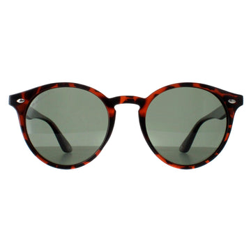 Montana Sunglasses MP20 C Turtle G15 Polarized